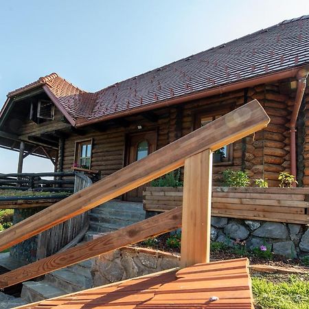 Apartament Zidan'Ca Rosel Dolenjske Toplice Zewnętrze zdjęcie