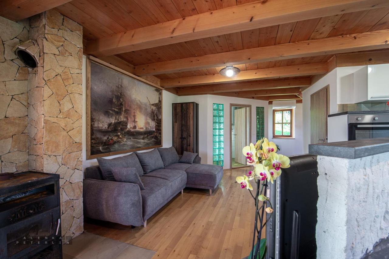 Apartament Zidan'Ca Rosel Dolenjske Toplice Zewnętrze zdjęcie