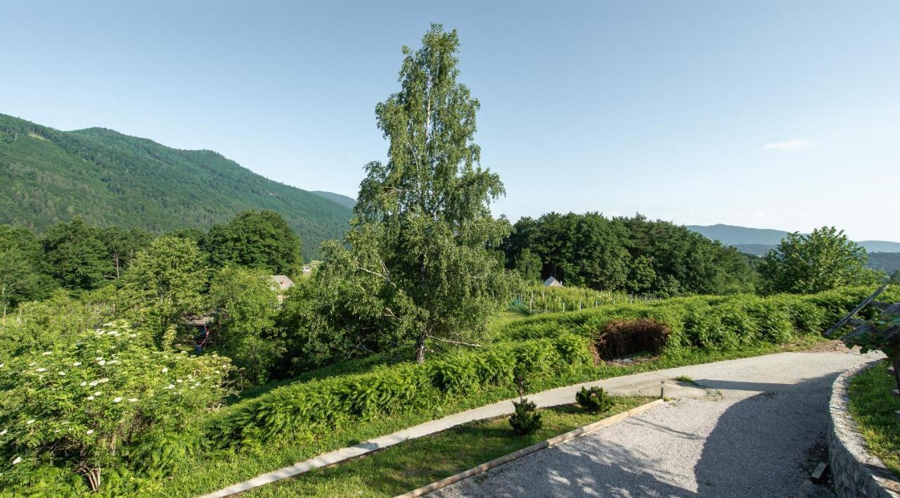 Apartament Zidan'Ca Rosel Dolenjske Toplice Zewnętrze zdjęcie