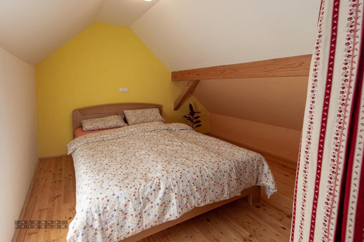Apartament Zidan'Ca Rosel Dolenjske Toplice Zewnętrze zdjęcie