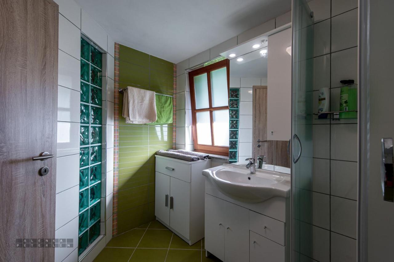 Apartament Zidan'Ca Rosel Dolenjske Toplice Zewnętrze zdjęcie