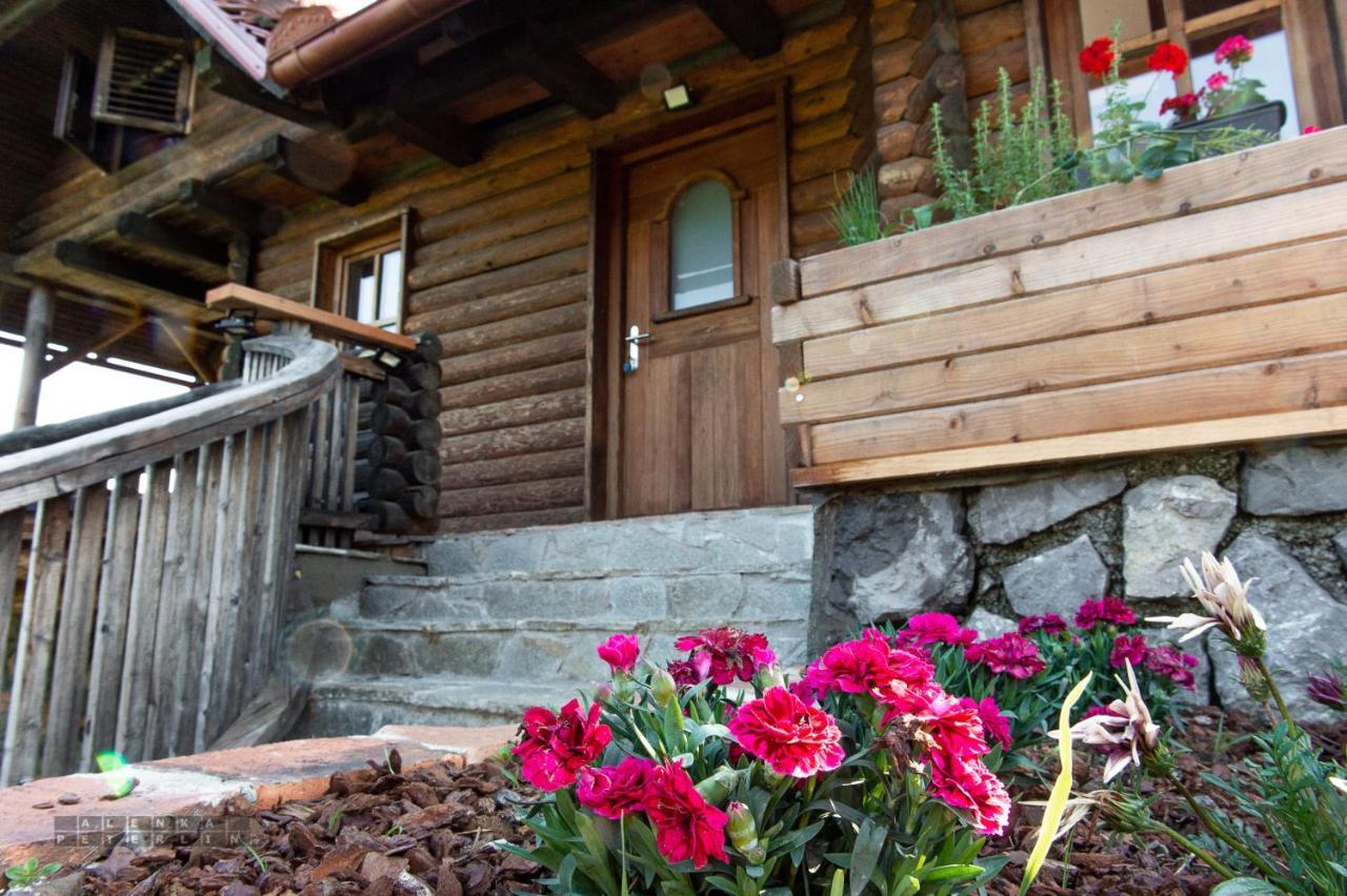 Apartament Zidan'Ca Rosel Dolenjske Toplice Zewnętrze zdjęcie