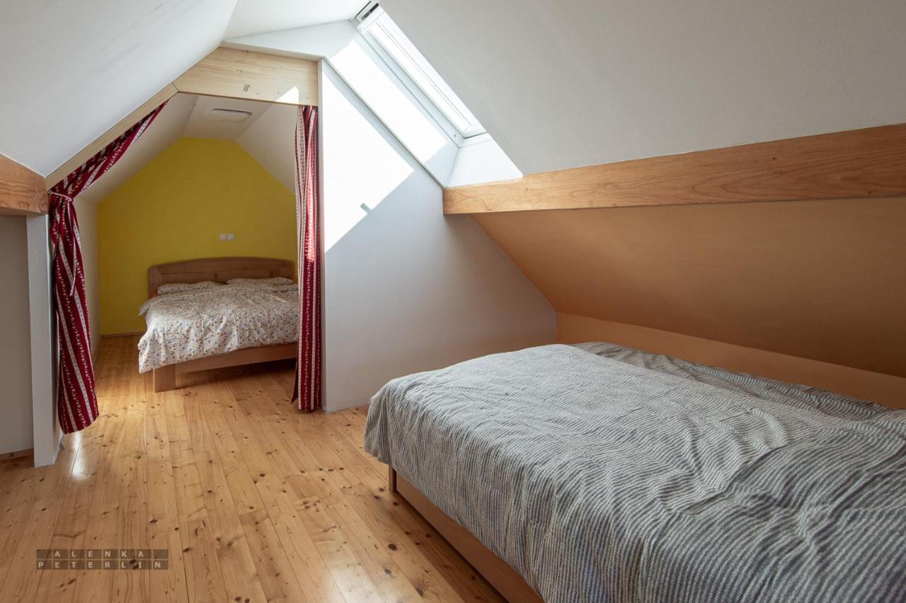 Apartament Zidan'Ca Rosel Dolenjske Toplice Zewnętrze zdjęcie